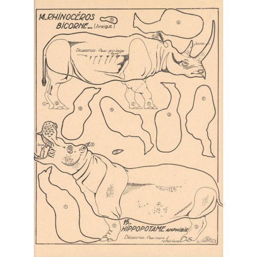 Neushoorn en Nijlpaard - 1949