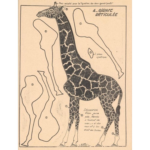 Giraffe - 1949