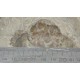 Fossiele krab Pulalius vulgaris - Washington