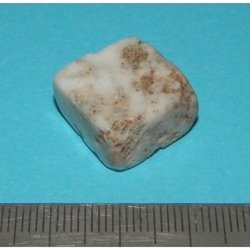 Fossiel Honingraat Koraal - steen Q