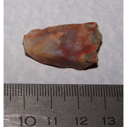 Versteend Hout - New Mexico - steen D