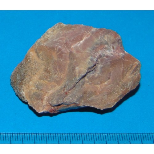 Versteend hout - Madagaskar - steen ML