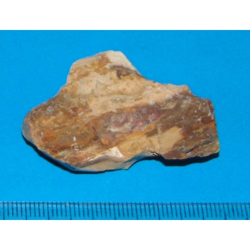 Versteend Hout - Madagaskar - steen MM