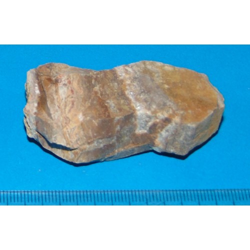 Versteend Hout - Madagaskar - steen MR