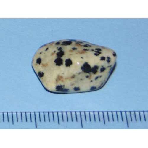 Dalmatiner Jaspis - steen AA