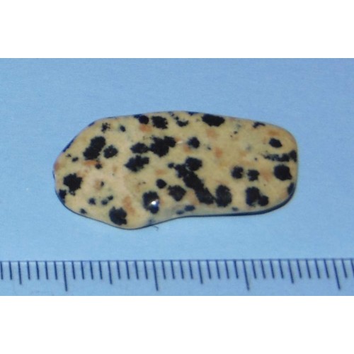 Dalmatiner Jaspis - steen AC