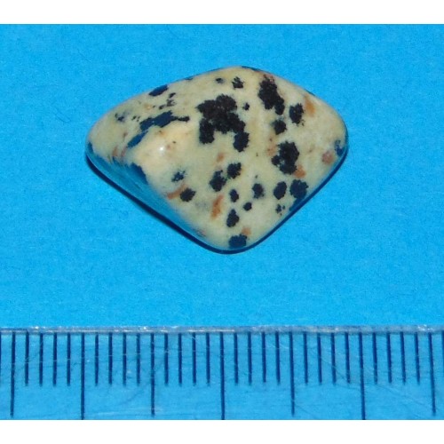 Dalmatiner Jaspis - steen AE