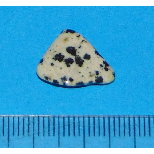 Dalmatiner Jaspis - steen AH