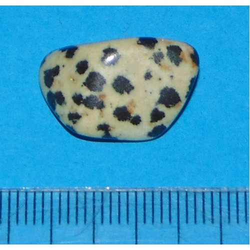 Dalmatiner Jaspis - steen AI