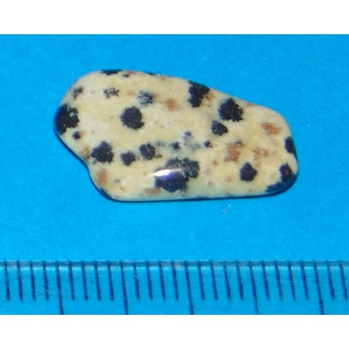 Dalmatiner Jaspis - steen AL