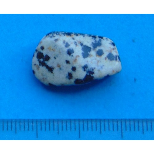 Dalmatiner Jaspis - steen AM