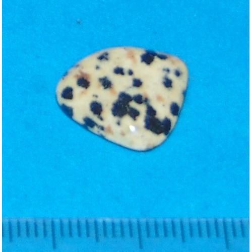 Dalmatiner Jaspis - steen AN