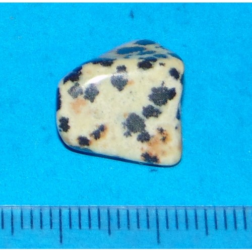 Dalmatiner Jaspis - steen AR