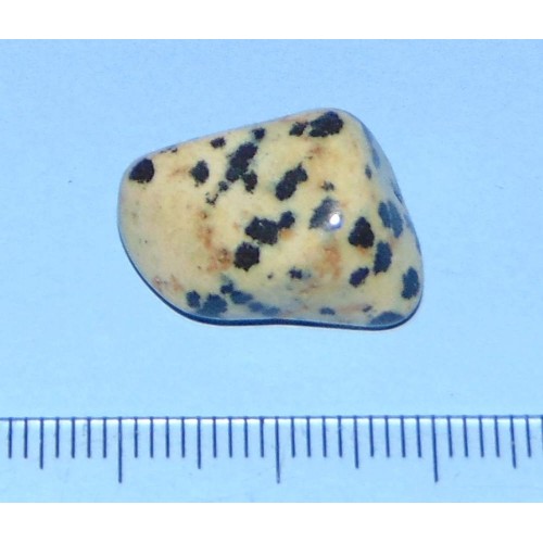 Dalmatiner Jaspis - steen K 