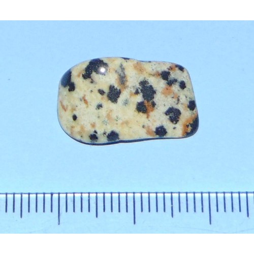 Dalmatiner Jaspis - steen L