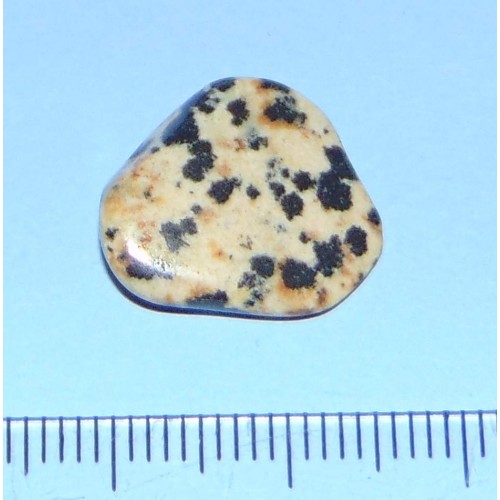 Dalmatiner Jaspis - steen M