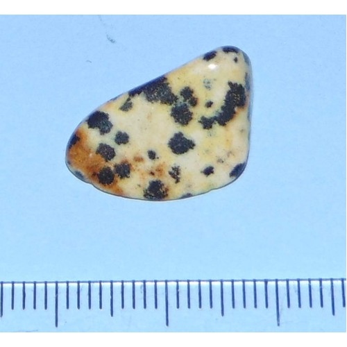 Dalmatiner Jaspis - steen N