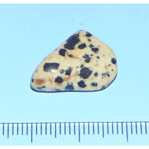 Dalmatiner Jaspis - steen O