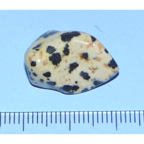 Dalmatiner Jaspis - steen P
