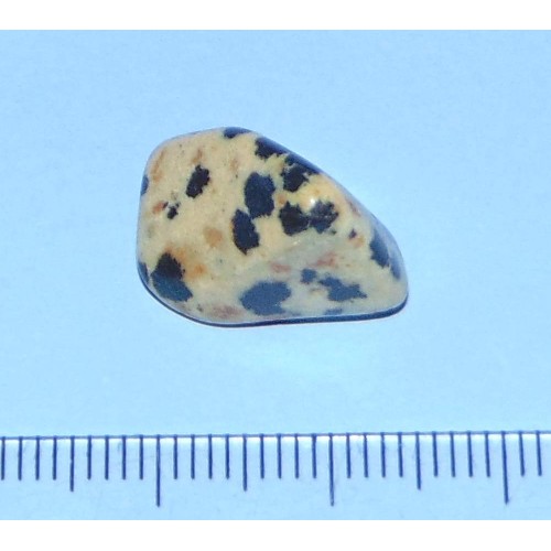 Dalmatiner Jaspis - steen R