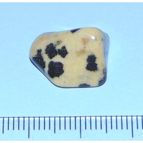 Dalmatiner Jaspis - steen S