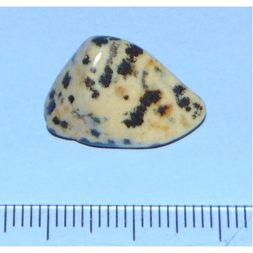 Dalmatiner Jaspis - steen T