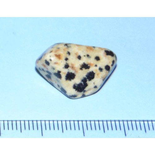Dalmatiner Jaspis - steen U