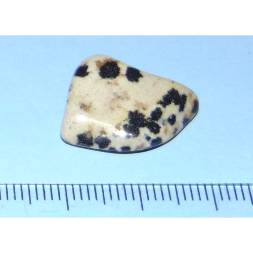 Dalmatiner Jaspis - steen W