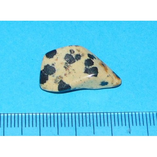 Dalmatiner Jaspis - steen Y