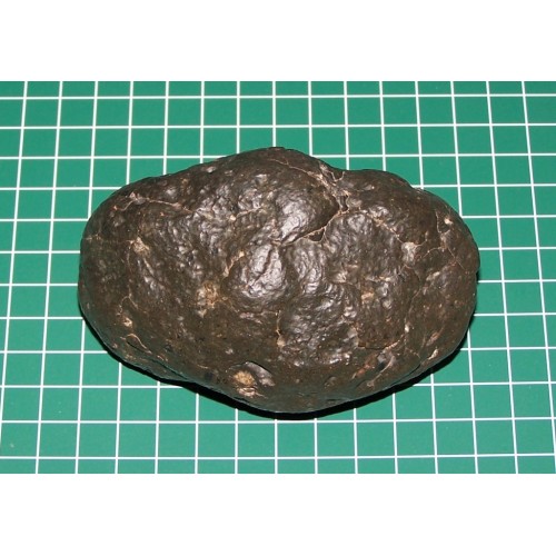 Complete Chondriet meteoriet - Marokko - steen BA