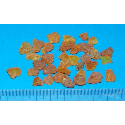 Baltische Barnsteen - 5 gram kleine stenen