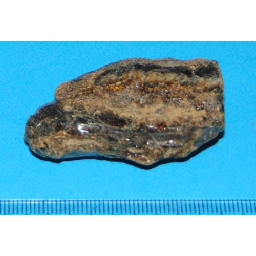Barnsteen - Sumatra - steen SAF