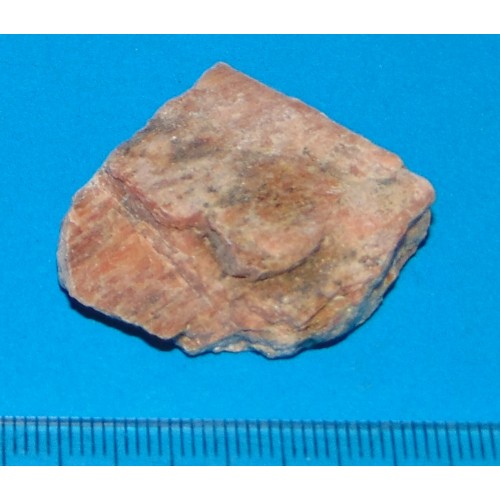 Abrikoos Maansteen - Madagaskar - steen AO