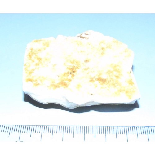 Witte Opaal ACC - Australië - 325 karaat - met certificaat