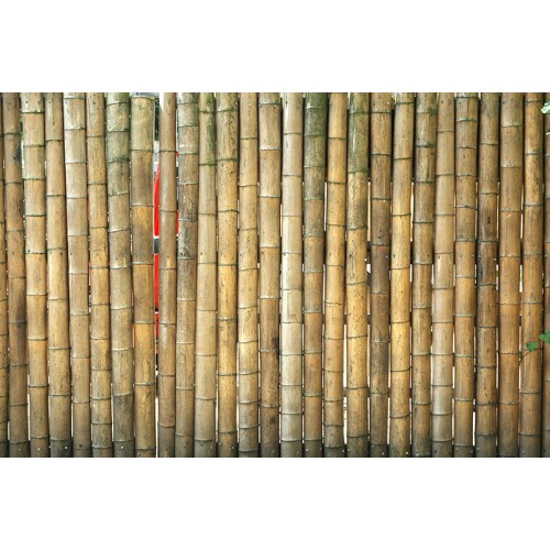 Bamboe - A4 scrapbooking vel