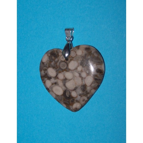 Fossiele Kaurie schelpen hart hanger, met hangeroog