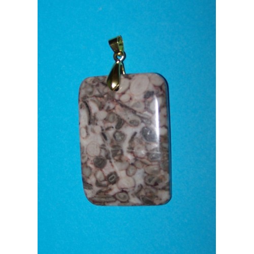 Fossiele Kaurie schelpen hanger, rechthoekig, steen B